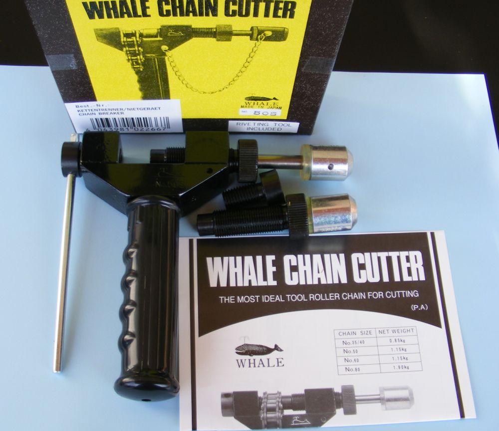 whale chain